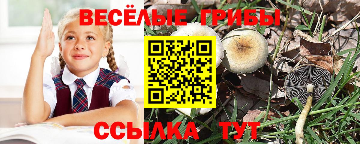 Псилоцибиновые грибы ЛСД  Вход с VPN  Жигулёвск 